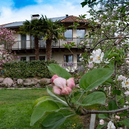 Ansitz Waldner Oberwirt Apartment Marlengo Bagian luar foto
